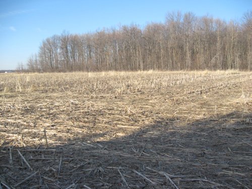 Property photo 25 - 44 Acres Offered in 3 Tracts
